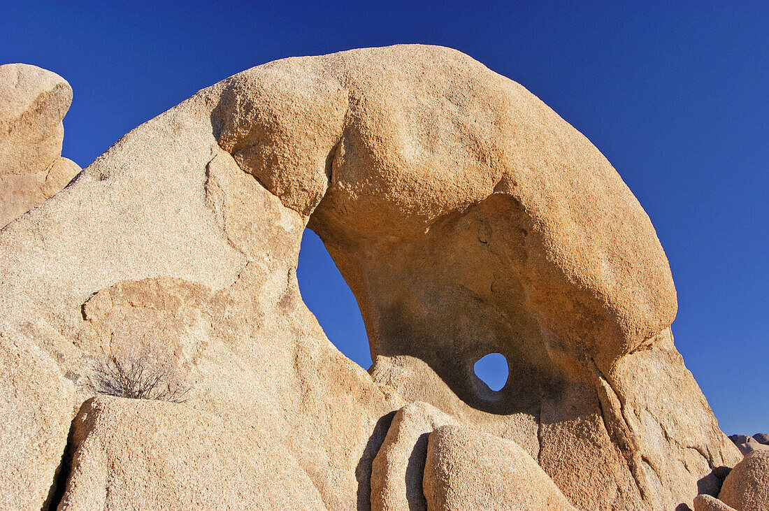 Morning light on rock formations at Jumbo Rocks, Joshua Tree National Park, California