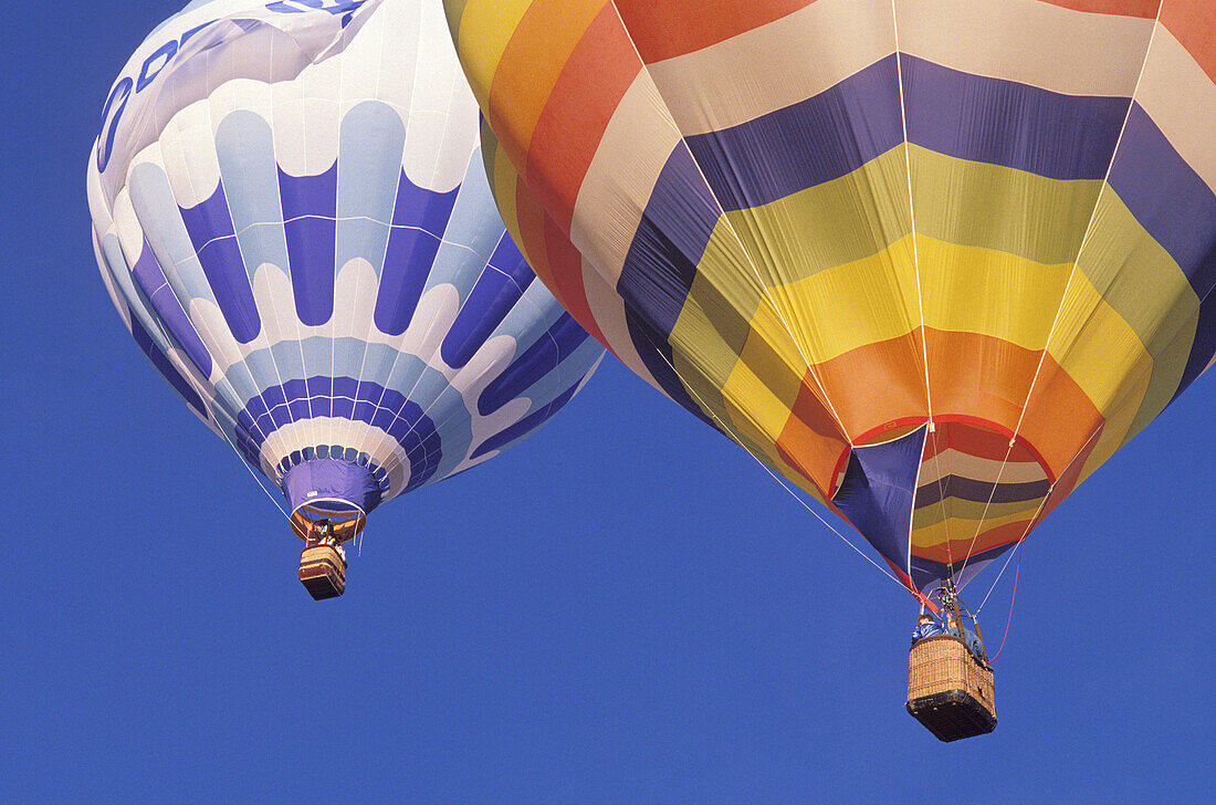 Hot air balloons rising in dawn light at the International Balloon Fiesta, Albuquerque, New Mexico