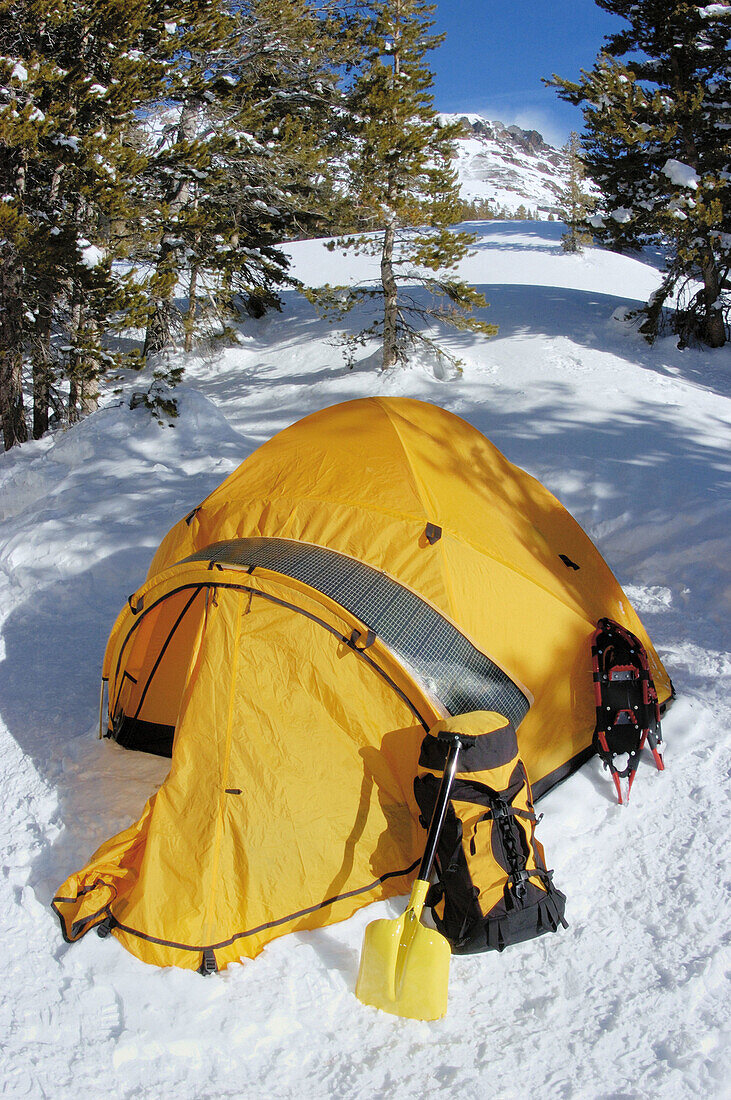 Yellow dome tent and gear in a backcountry ski camp, Inyo National Forest, Sierra Nevada Mountains, California