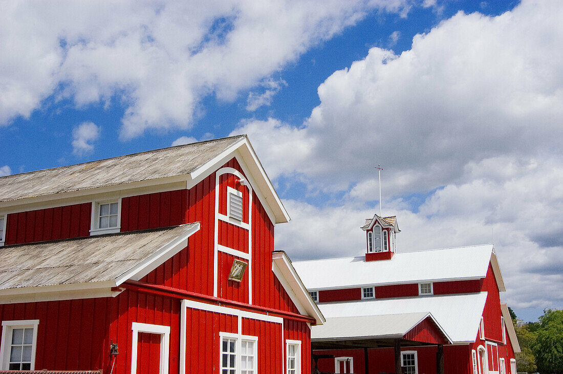 Red barns at the Faulkner Farm, Santa Paula, California