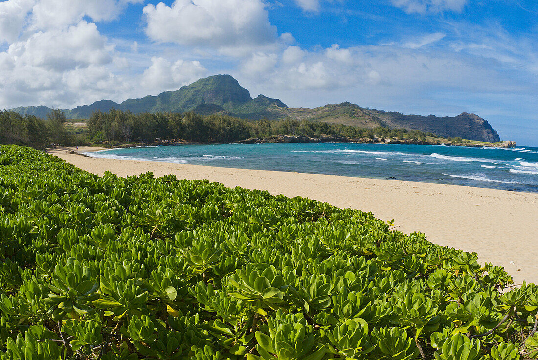 Kawailoa Bay at Maha ulepu on the south shore, Island of Kauai, Hawaii