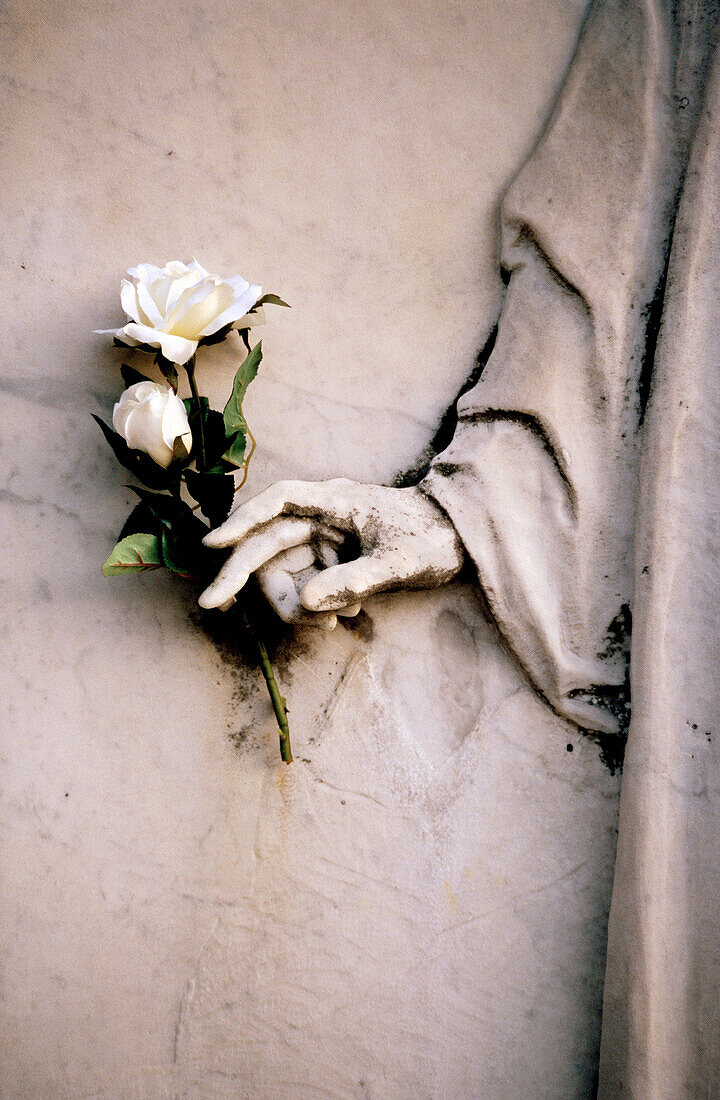  Color, Colour, Concept, Concepts, Contrast, Contrasts, Death, Detail, Details, Ephemeral, Exterior, Flower, Flowers, Gray, Grey, Hand, Hands, Life, Outdoor, Outdoors, Outside, Rose, Roses, Sculpture, Statue, Statues, Time, Tomb, Tombs, Vertical, White Ro