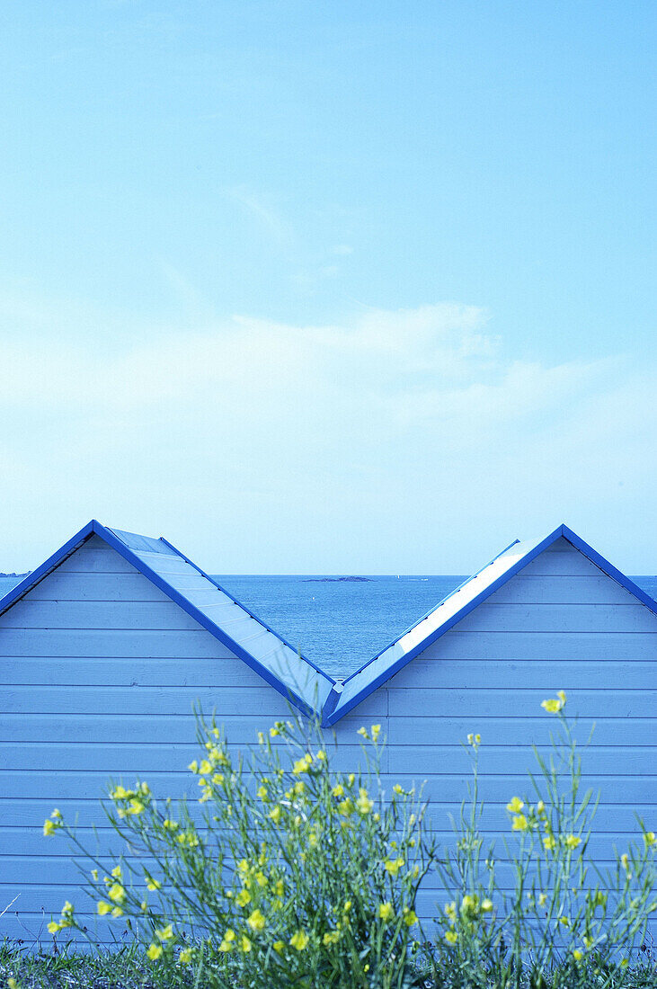  Bathing hut, Bathing huts, Beach, Beaches, Blue, Cabana, Cabanas, Calm, Calmness, Coast, Coastal, Color, Colour, Concept, Concepts, Contemporary, Daytime, Exterior, Flower, Flowers, Holiday, Holidays, Leisure, Outdoor, Outdoors, Outside, Pair, Peaceful, 