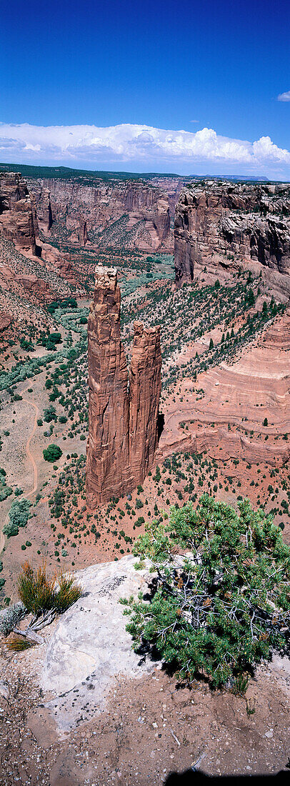 Spider Rock. Canyon de Chelly National Monument. Arizona. USA