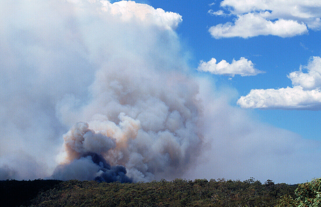 Bushfires raging out of control. Australia