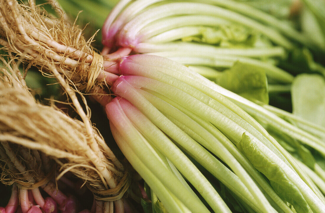 English spinach