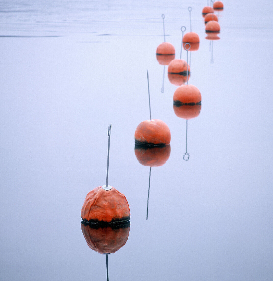 Empty buoys at marina. Fjällbacka, Bohus, Sweden.