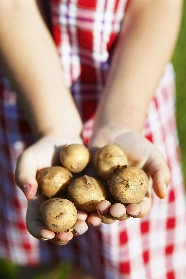 Girl holding vintage potatoes