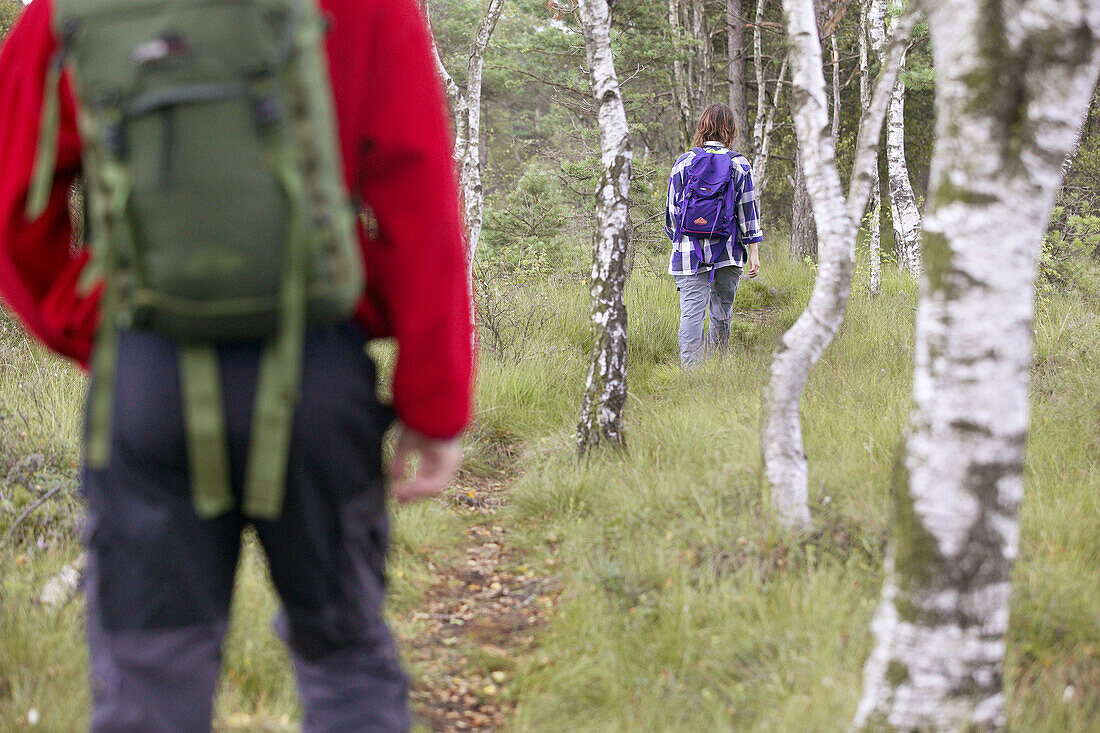 Hikers on path through forest. Skåne. Sweden