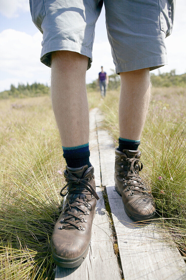 Hikers on trail over marshlands. Skåne. Sweden