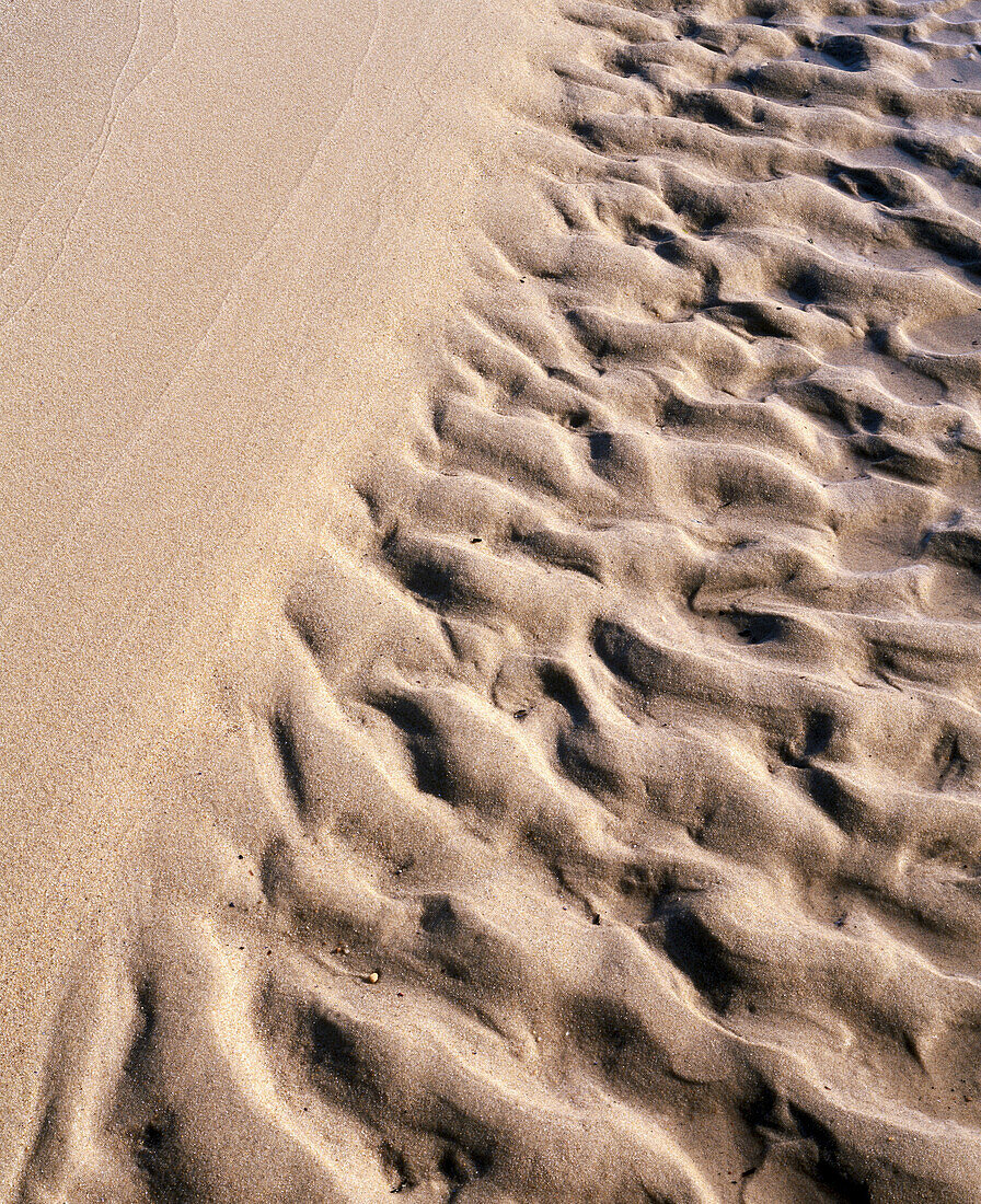 Waterlines in sand. Baltic sea. Osterlen. Skane. Sweden