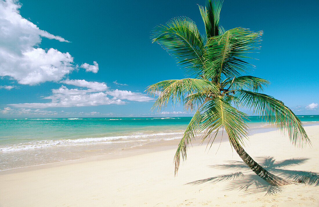 Beach. Samana Peninsula. Dominican Republic
