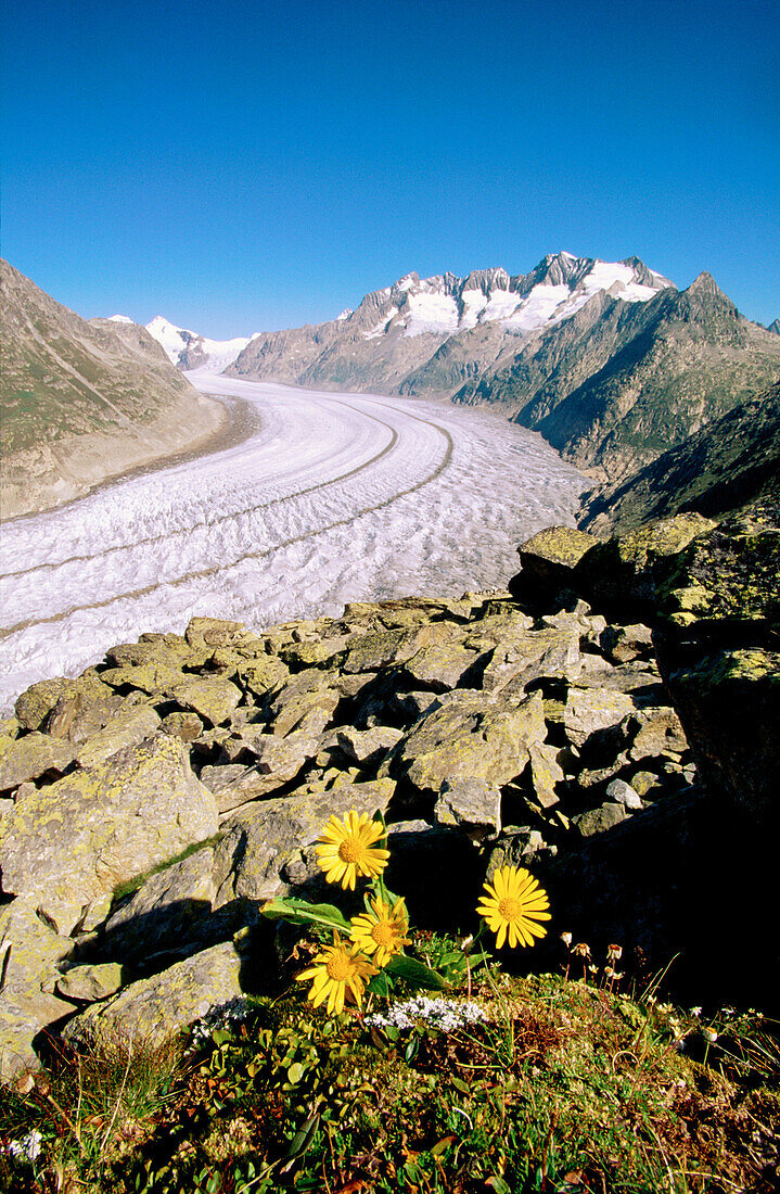Aletsch Glacier. Switzerland