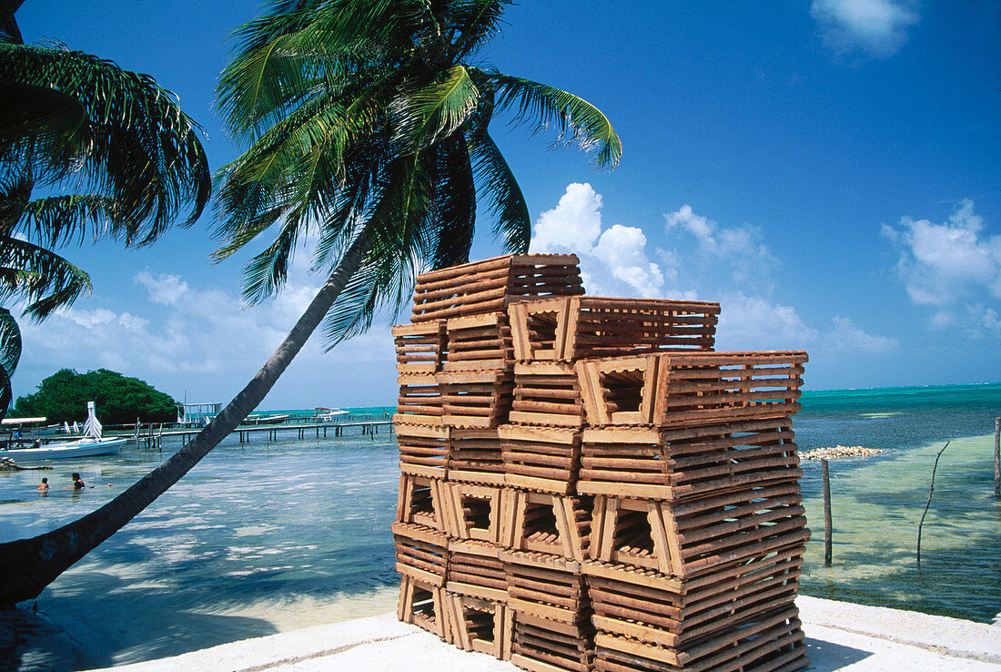 Lobster traps. Belize