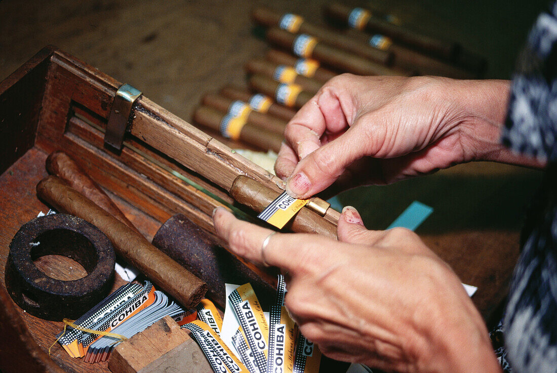 Cohiba cigar factory. Cuba