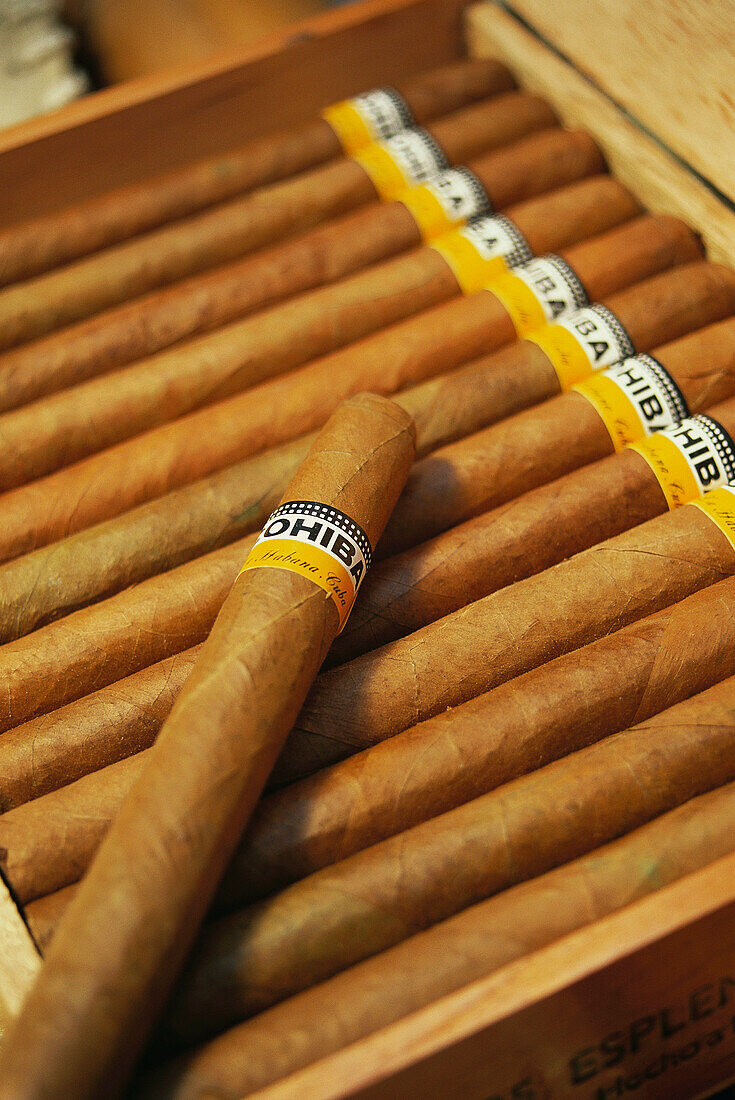Cuba, cigars Cohiba