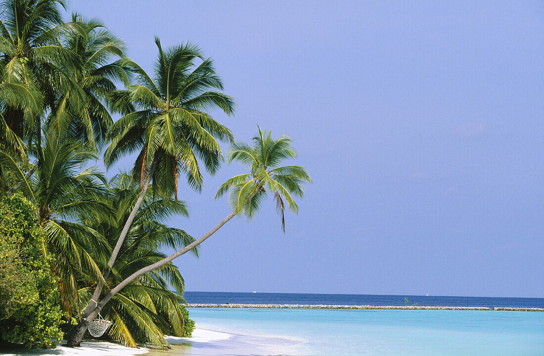 Maldives Islands. Indian Ocean