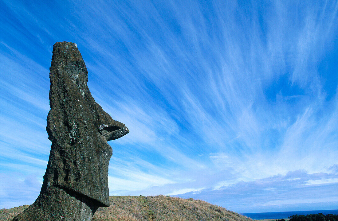 Single moai in Rana Raraku. Eastern Island. Chile