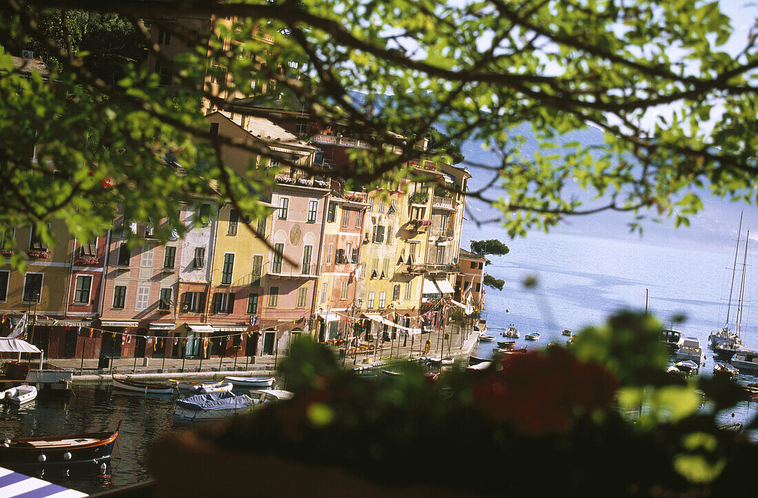 Portofino. Liguria, Italy