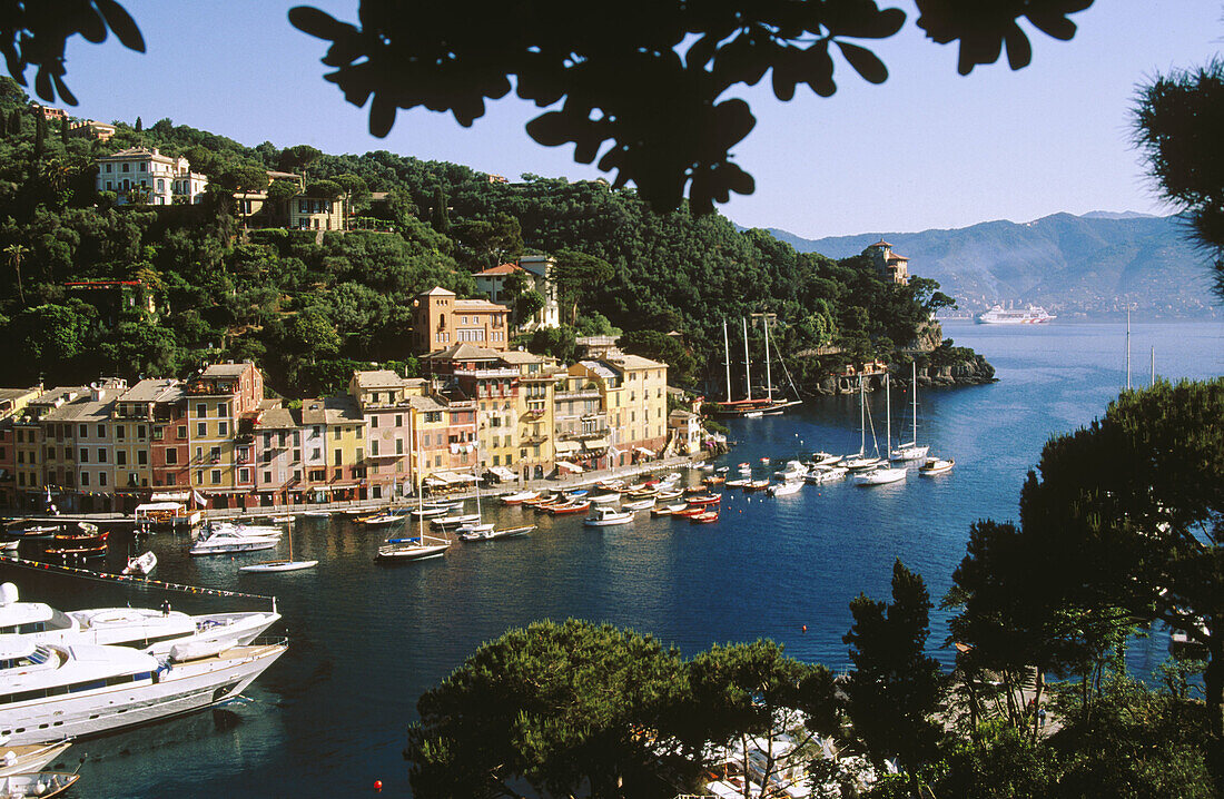 Portofino. Liguria, Italy