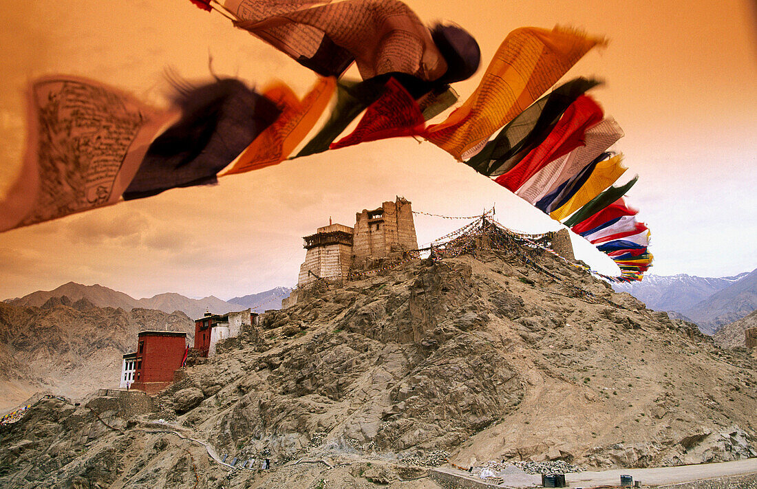 Prayers flags at Namgyal Tsemo Gompa (monastery), near Leh. Ladakh. Jammu and Kashmir. India