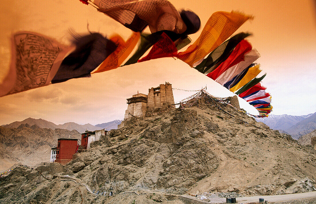 Immagini Stock - Bandiere Tibetane Di Preghiera Vicino Al Monastero Di  Namgyal Tsemo In Leh, Ladakh. Image 86773206