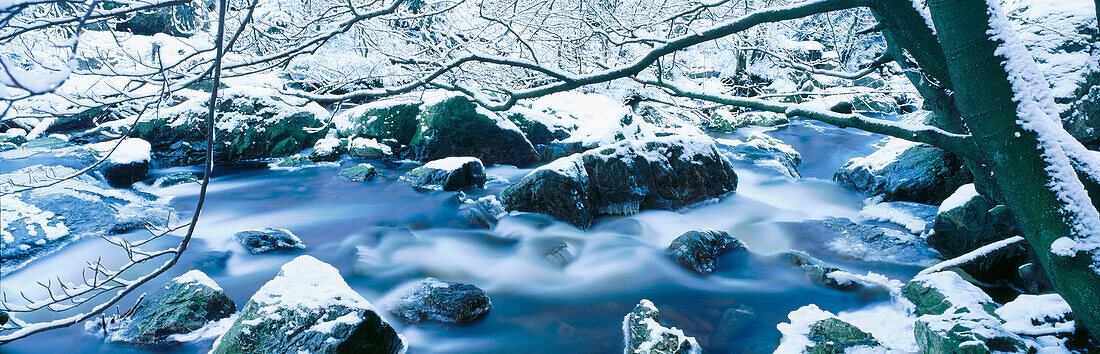 River Hoegne in winter. Ardennes. Belgium