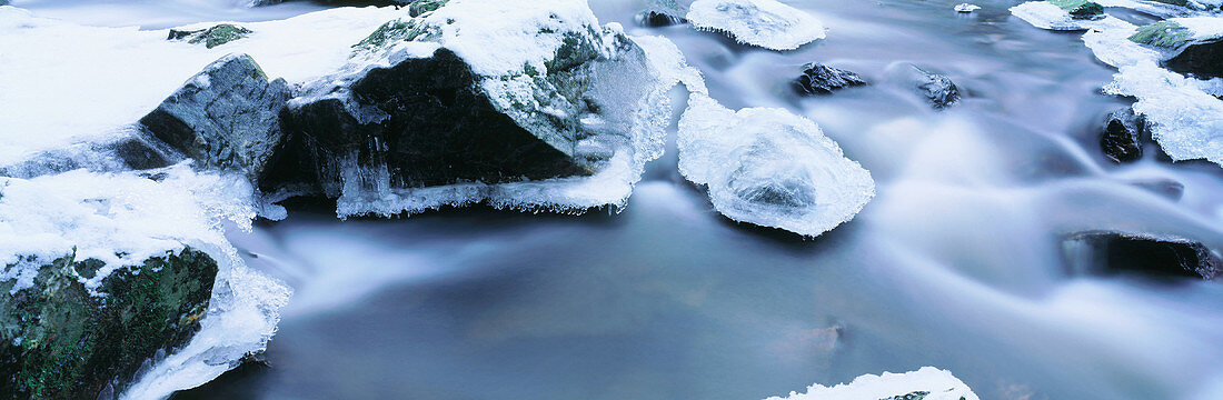 Ice covered stones in river Hoegne. Ardennes. Belgium