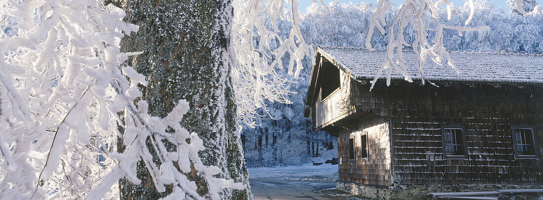 Hoarfrost covered forest. Hoher bogen. Bavarian Forest. Bavaria. Germany