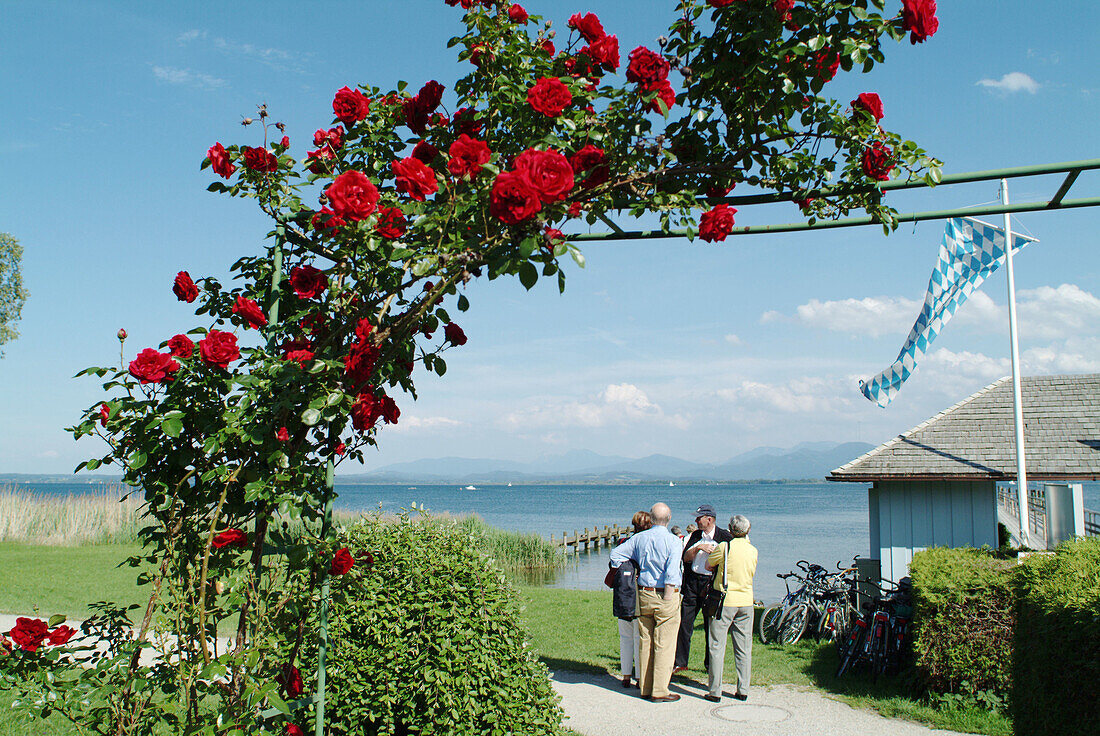 Red roses and Bavarian flag. Gstad. Chiemsee (Alps in the background). Chiemgau. Bavaria. Germany