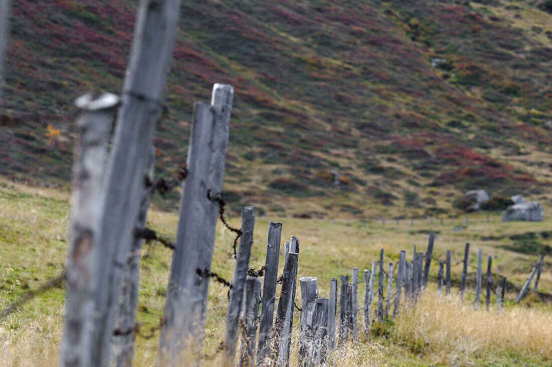 Fence near Jamnig-Alm, Mallnitz, Hohe Tauern National Park, Alps, Carinthia, Austria