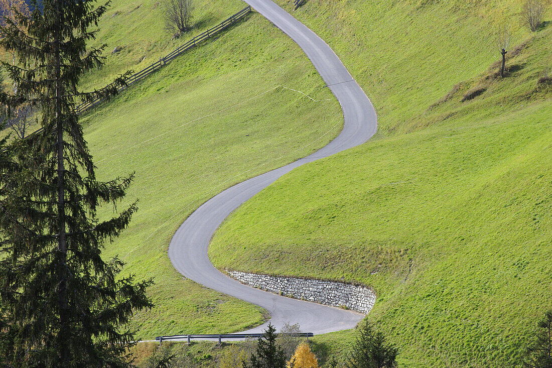 Road through alpine meadows, Zirknitztal, Alps, Carinthia, Austria