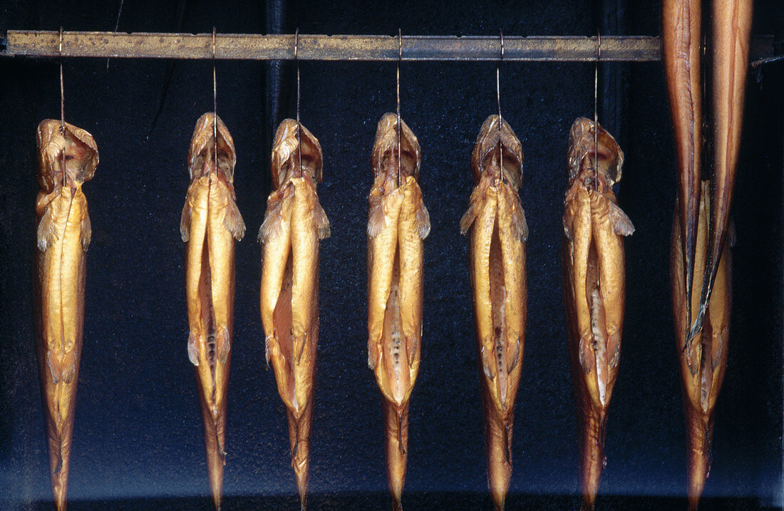 Smoked trouts