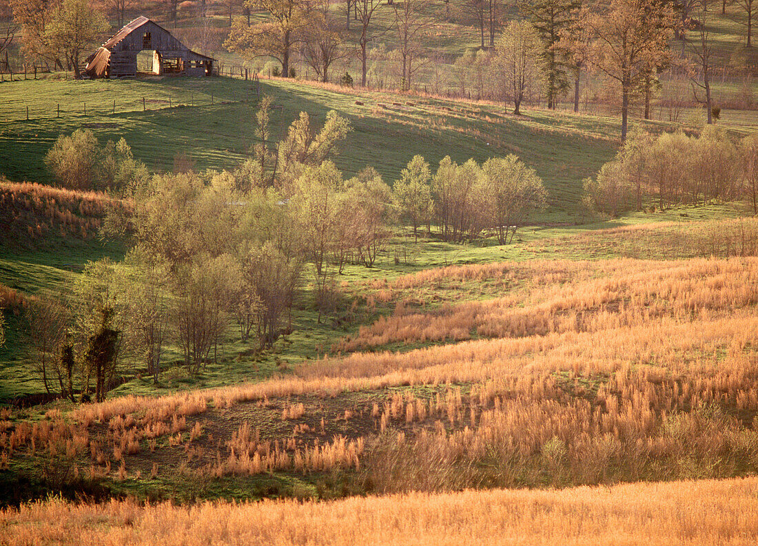 Barn. Tennessee. USA