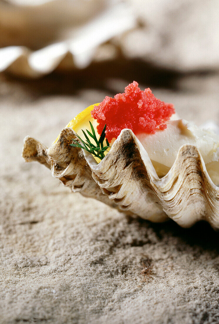 Shell with cheese and caviar