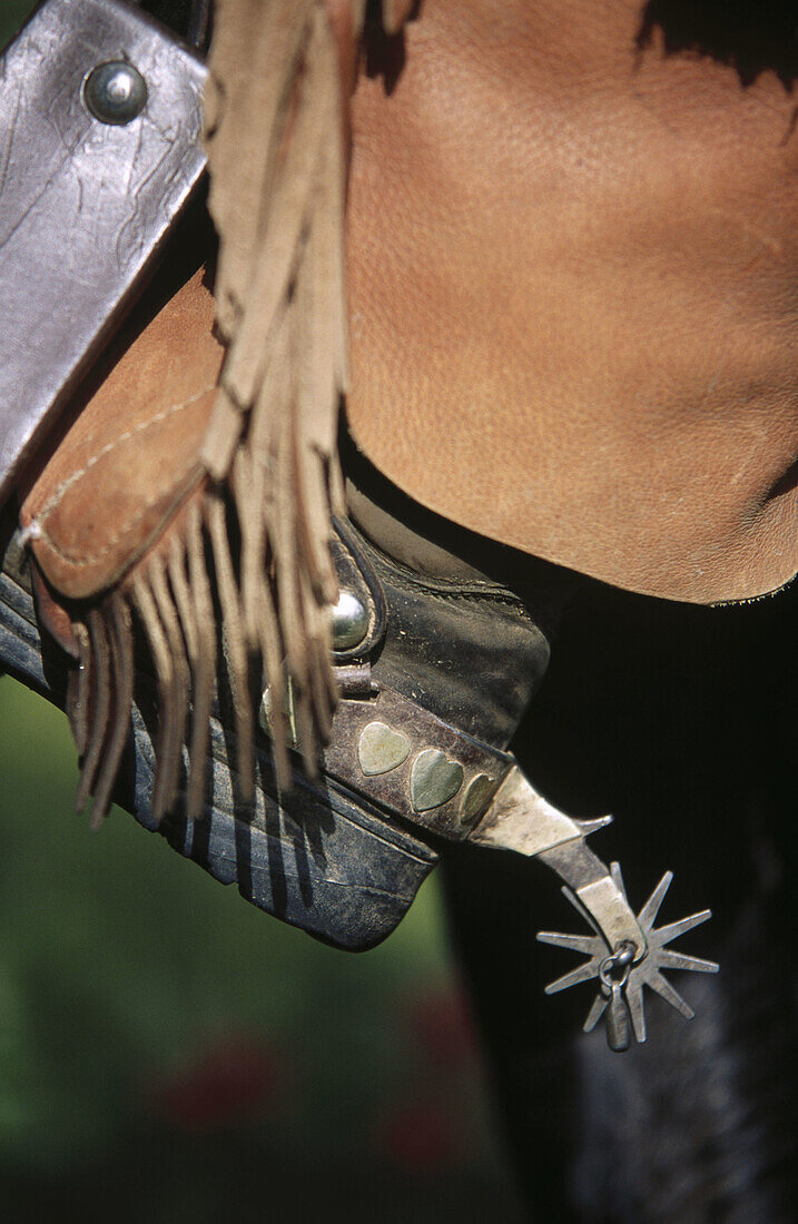  Aggressiv, Aggressivität, Aussen, Außen, Cowboy, Cowboys, Detail, Details, Eine Person, Eins, Erwachsene, Erwachsener, Farbe, Horizontal, Konzept, Konzepte, Mann, Männer, Männer (nur), Männlich, Mensch, Menschen, Reiten, Schuhwerk, Spore, Sporen, Stiefel