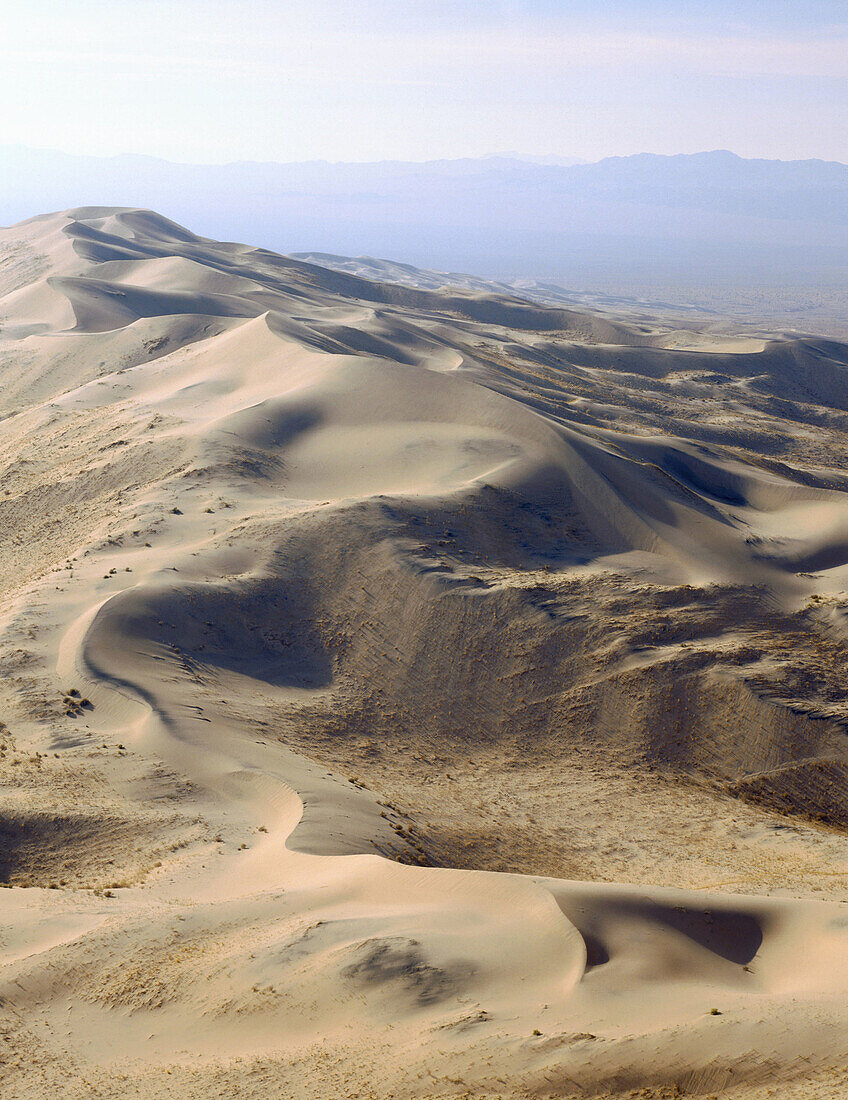 Kelso dunes seen from atop a high dune. Mojave National Preserve. California. USA