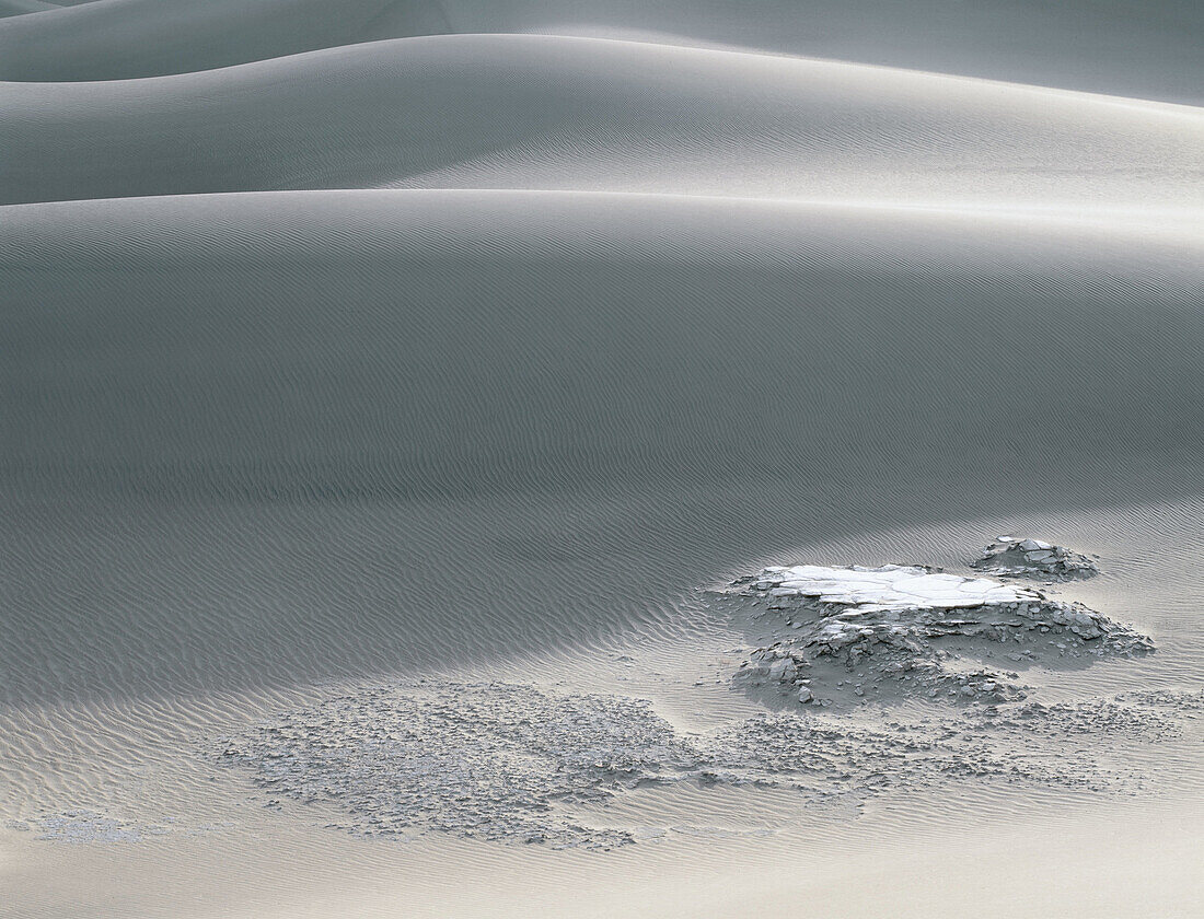 Remains of mud flats below rows of dunes. Death Valley NP. California. USA