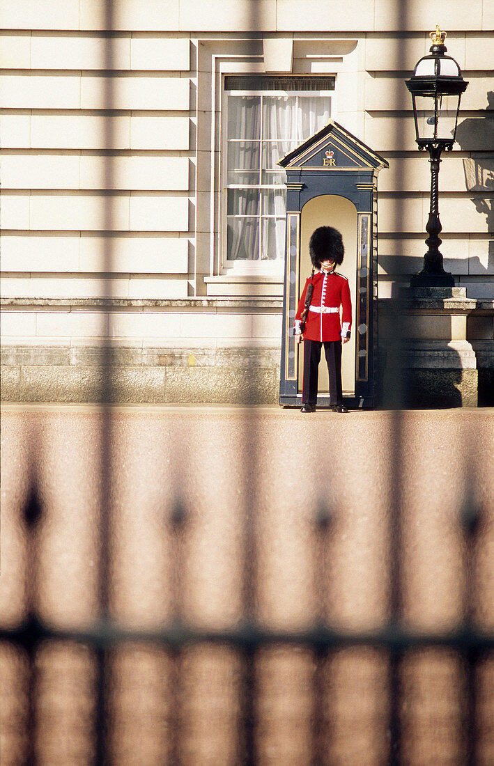 Guard at Buckingham Palace. London. England