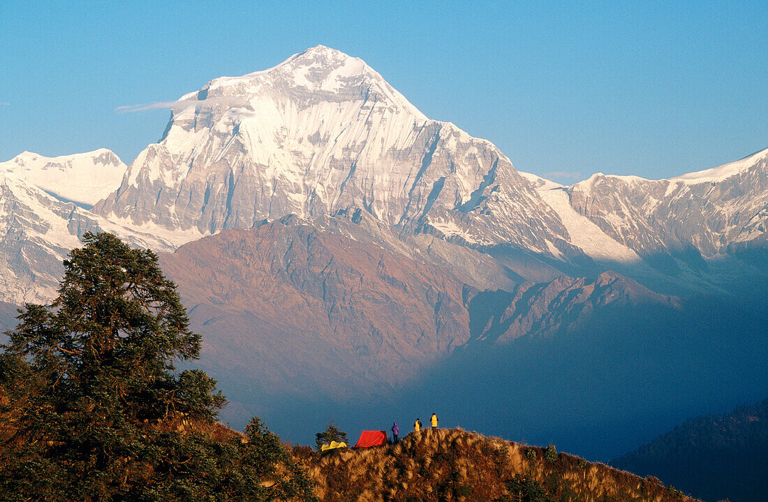 Trekkers camp facing the southeast face ot the Dhaulagiri (8.167 m.). Himalayas. Nepal
