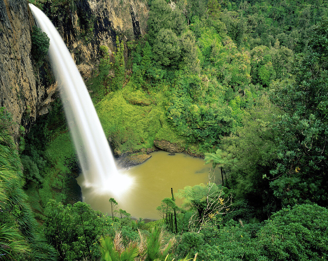 Idal Veil Falls. North Island. New Zealand