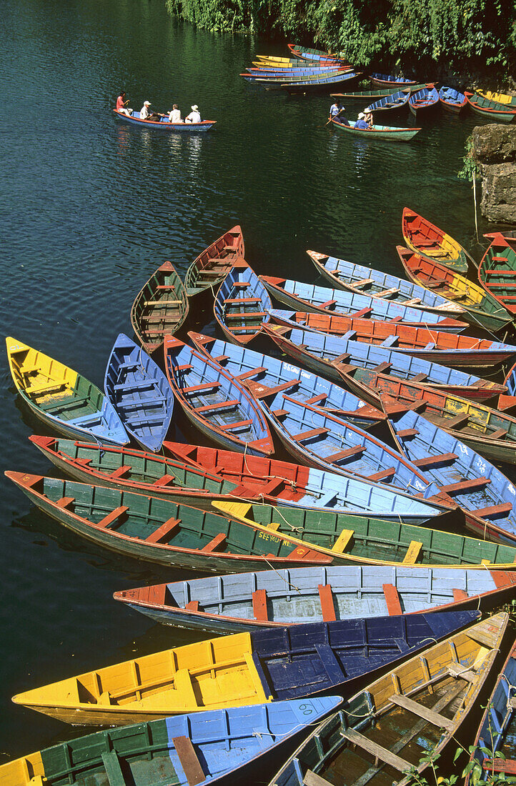 Boats for hire on Phewa Lake. Pokhara .Nepal
