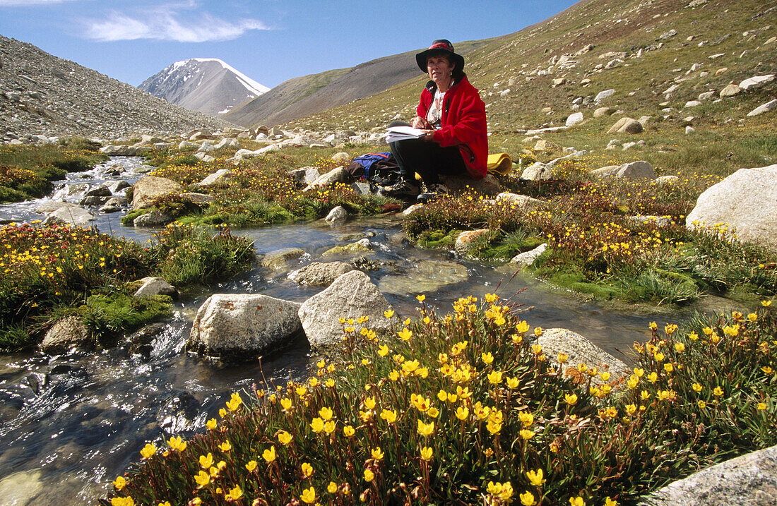 Catching up on diary. Relaxing beside stream with buttercups, Tavan Bogd. Altai mountains, Western Mongolia