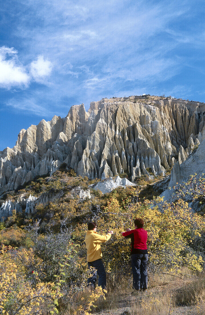 Picking hawthorn berries. Clay Cliffs. Near Omarama. New Zealand.