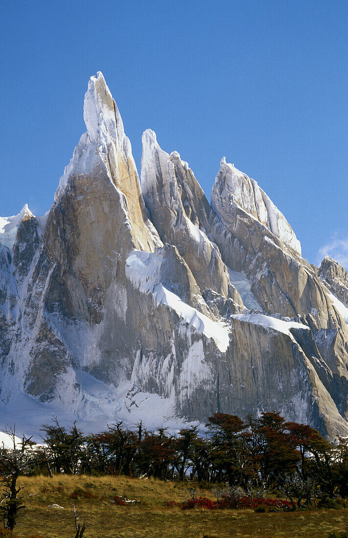 Cerro Torre. Los Glaciares National Park. Patagonia. Argentina