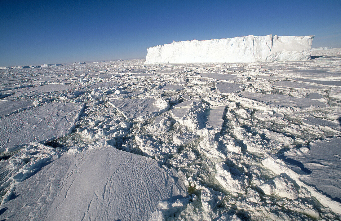 Tabular iceberg. Southern Ocean. Dumont d Urville. Antarctica.