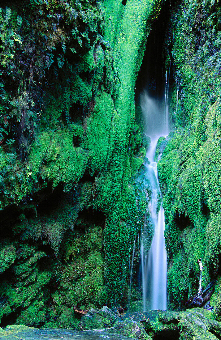 Waterfall. Mount Aspiring National Park. New Zealand