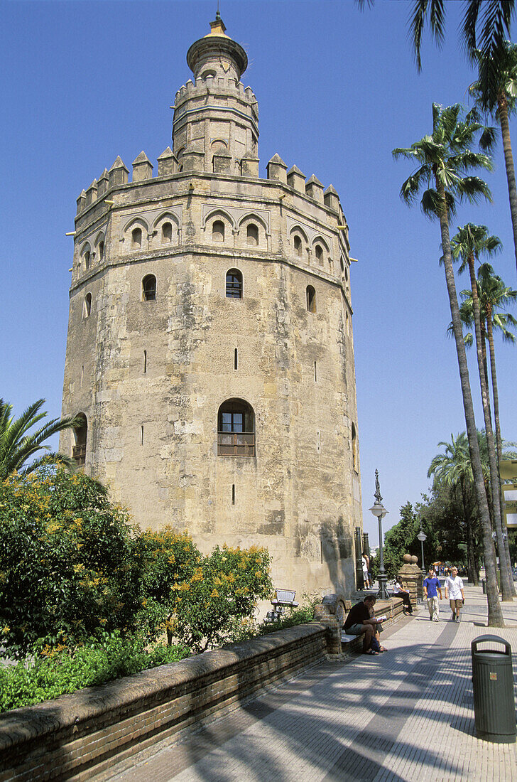 Torre del Oro. Sevilla. Spain