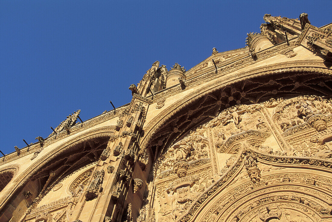 West facade (Isabeline style, 16th century) of Catedral Nueva ( new cathedral ). Salamanca. Spain