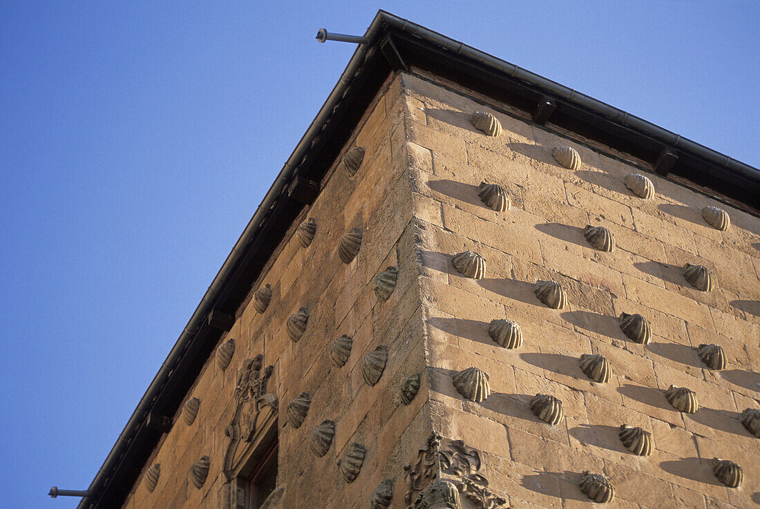Casa de las Conchas, detail. Salamanca. Spain